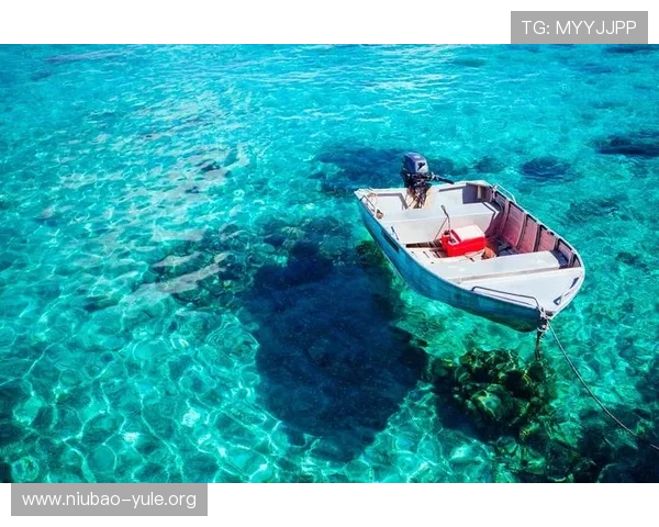 沙巴真人游戏完整版下载过程中常见问题及解决方案分享